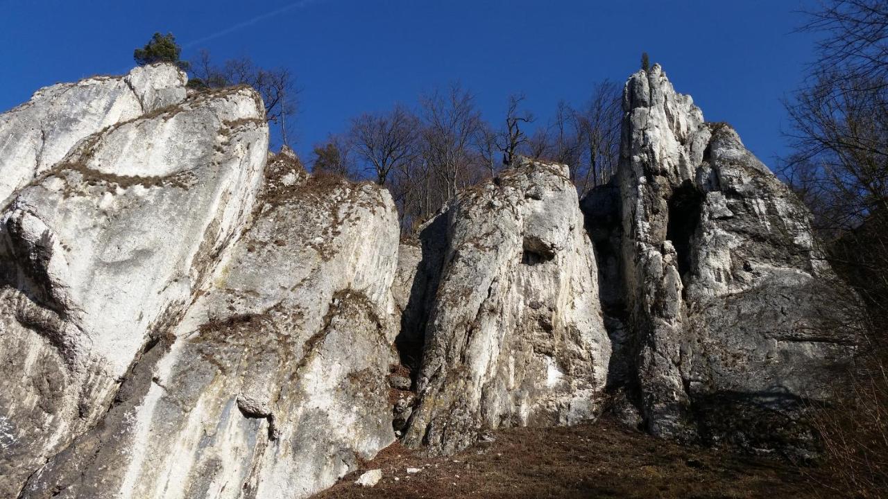 Osada Wloscianska Ojcow 외부 사진
